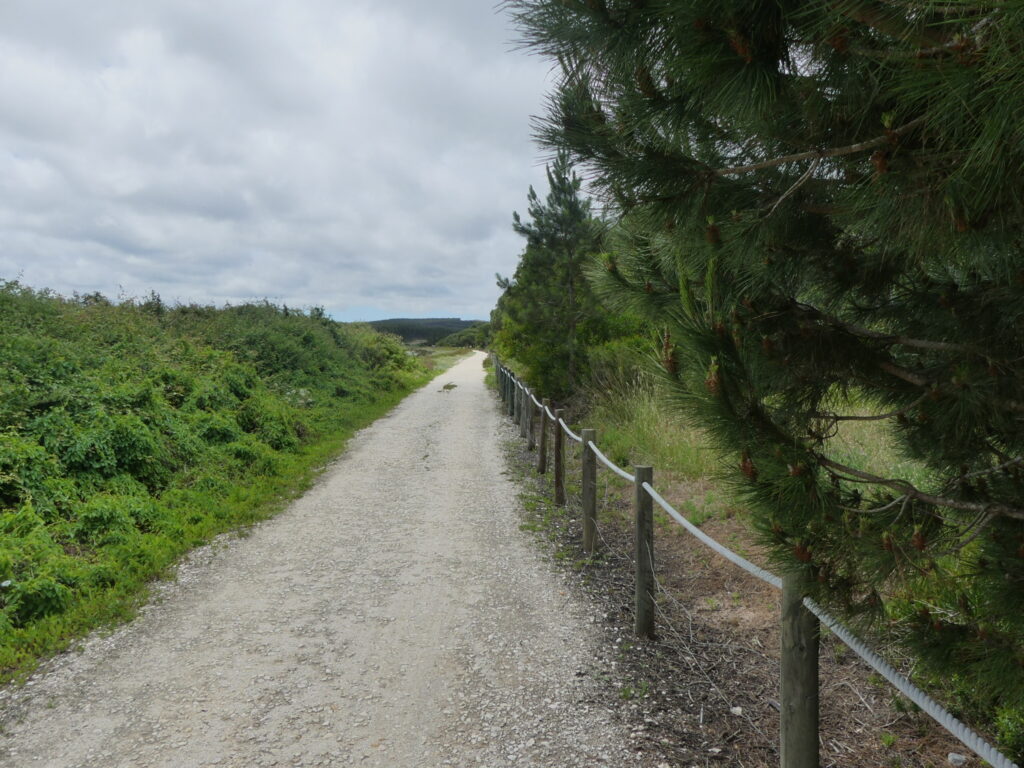 Path for walking or biking around the Lagoon