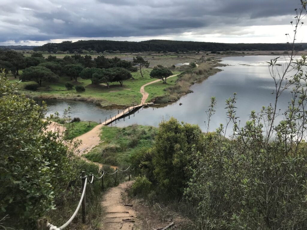 Path for walking or biking around the Lagoon