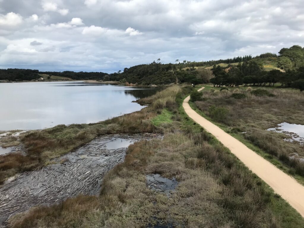 Path for walking or biking around the Lagoon