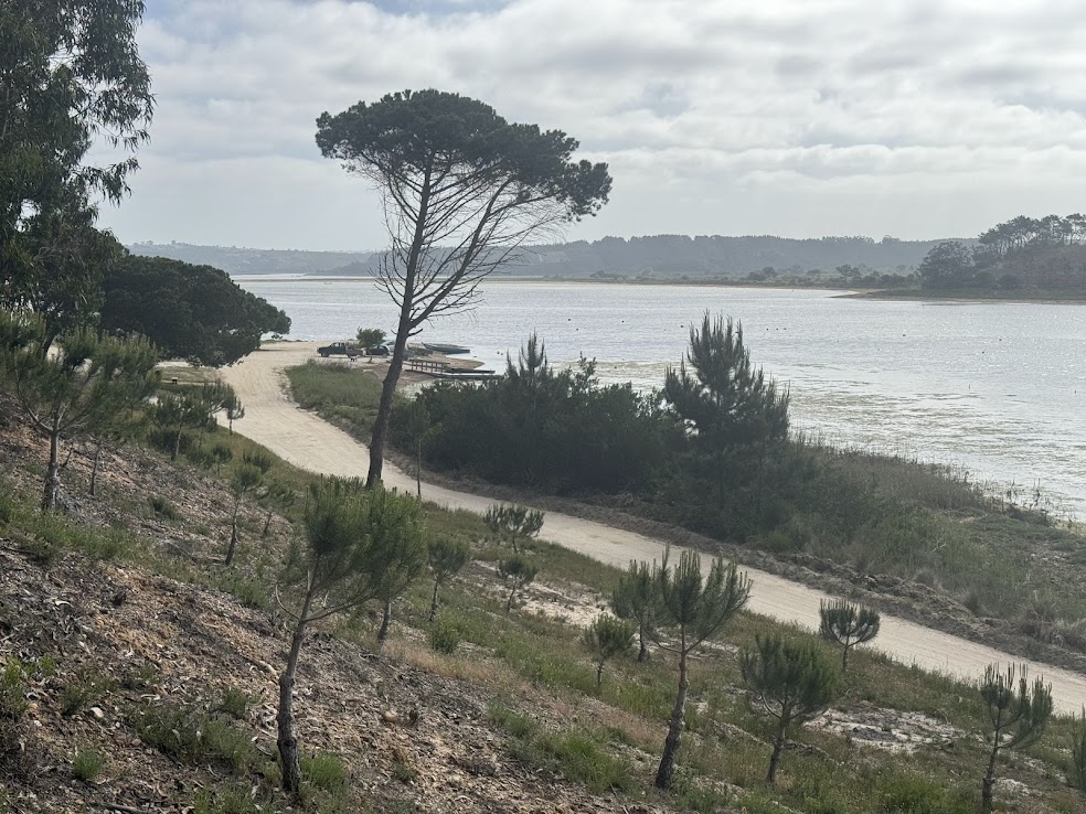 Path for walking or biking around the Lagoon