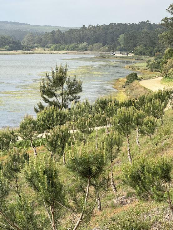 Lagoon of Obidos